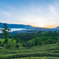 500萬噸/年！湖北儲(chǔ)量約1.12億噸建筑用花崗巖礦擬掛牌出讓