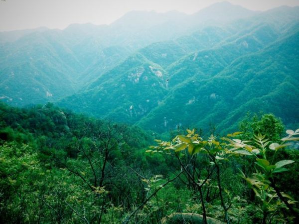 湖南嚴控采砂場使用林地審批 使用結束后一年內需復綠